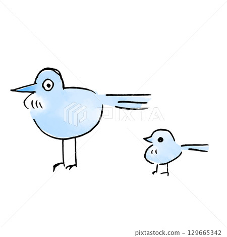 一隻藍色鳥的父母和孩子 129665342