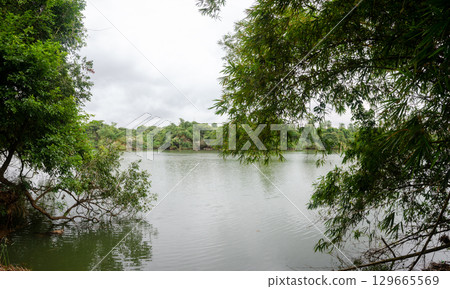 Ranganathittu bird sanctuary in Mysore, Karnataka, India Ranganathittu bird sanctuary in Mysore, Karnataka, India 129665569
