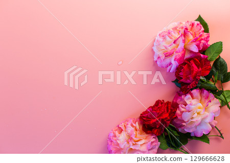Elegant pink roses for a romantic mood 129666628