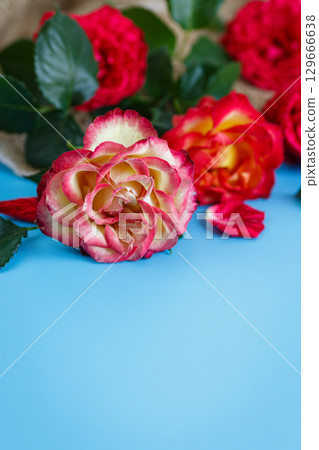 Elegant rose heads with natural green leaves around 129666638