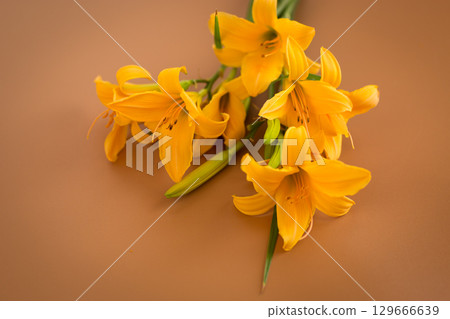 Top view of lilies in soft brown palette 129666639
