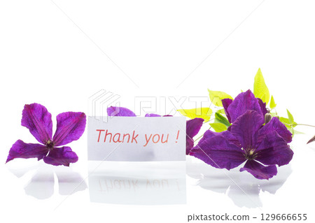 Close-up of clematis with purple petals and greenery Close-up of clematis with purple petals and greenery 129666655