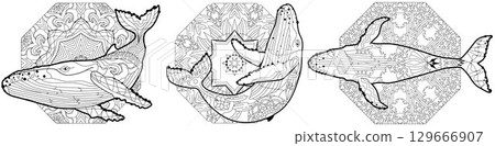 Swimming whales for anti stress Coloring Page. 129666907