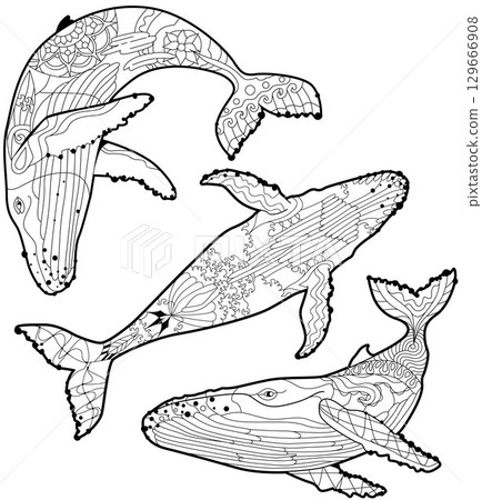 Set of swimming whale for anti stress Coloring Page. 129666908