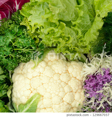 Beautiful bright natural background. Leaves of different sizes and colors close-up. 129667037