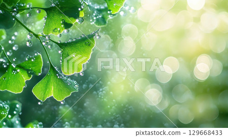 water droplets background closeup green leaves 129668433