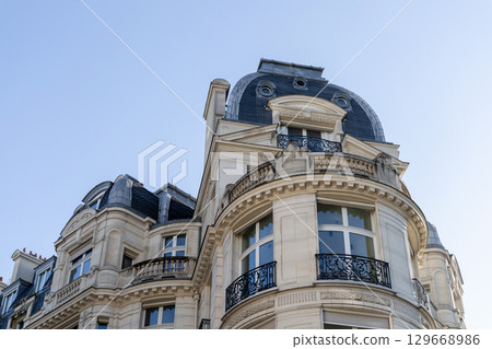 Explore the Elegant and Stunning Rooftop Architecture Found Throughout the City of Paris 129668986