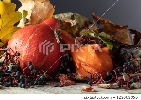 Small pumpkins with dried-up leaves and Maiden grapes. Small pumpkins with dried-up leaves and Maiden grapes. 129669050
