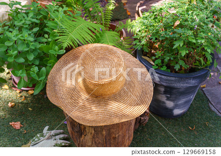 Straw garden hat on tree stump with blurred plants and cozy green garden in background in summer day Straw garden hat on tree stump with blurred plants and cozy green garden in background in summer day 129669158