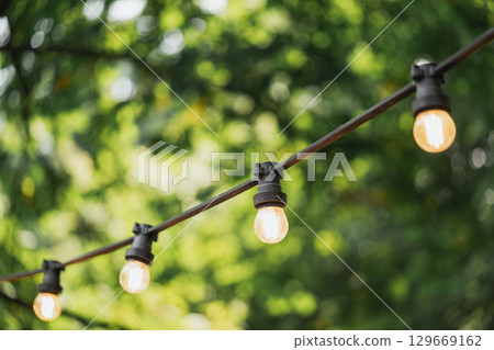 Close up of glowing string lights, street decor in summer garden with blurred green trees background Close up of glowing string lights, street decor in summer garden with blurred green trees background 129669162