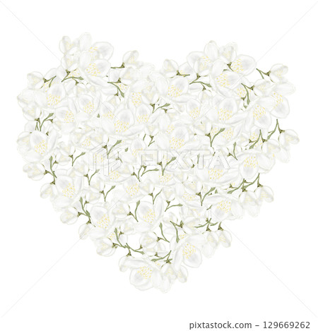 Jasmine white flower watercolor frame. Hand drawn bud delicate in the shape of a heart. Clip art botanical on white background. Ideal for logo of tea and aromatic products from jasmine 129669262