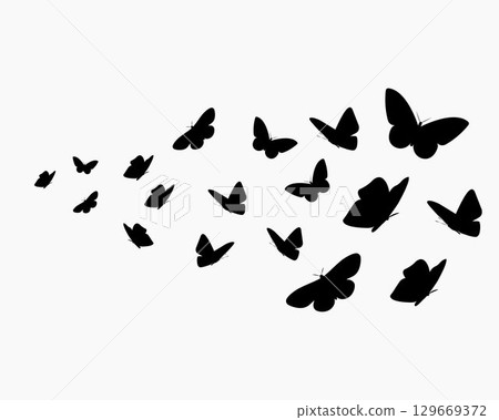Abstract vector background with flying butterflies silhouettes. A flock of black butterflies isolated on white backdrop. 129669372
