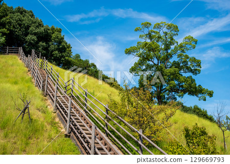 夏季市民公園（四日市南山公園、北區、瞭望階梯） 129669793