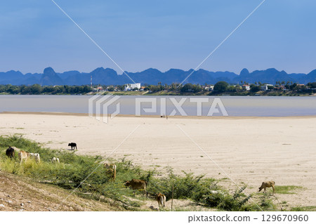 View of the Mekong River and the mountains of Laos from Nakhon Phanom in northeastern Thailand 129670960