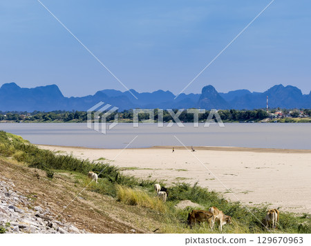 從泰國東北部的那空拍儂府眺望湄公河和寮國山脈 129670963