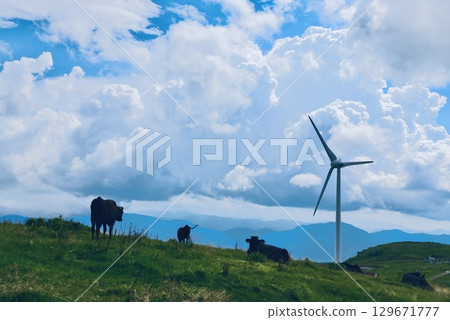 Shikoku Karst Landscape (Windmills and Cows) 129671777