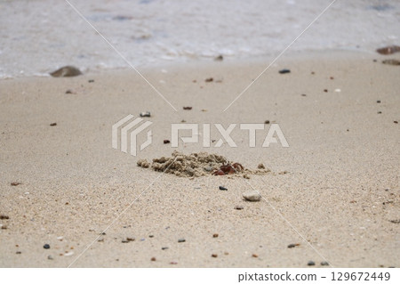 Crab nest 129672449