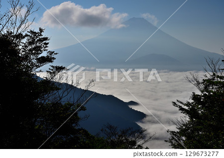 Mount Fuji towering over the misty Lake Shoji from the summit of Mount Sanpobun in the Misaka Mountains Mount Fuji towering over the misty Lake Shoji from the summit of Mount Sanpobun in the Misaka Mountains 129673277