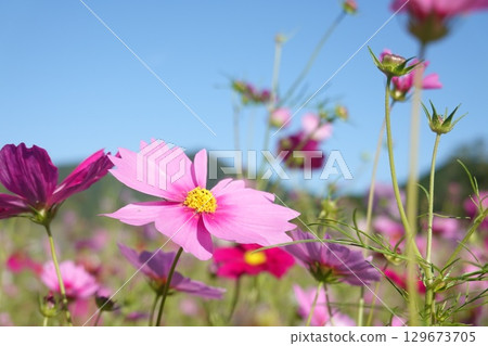  宇宙領域 129673705