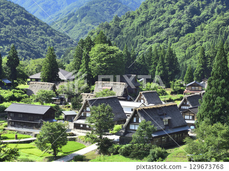 Gassho-style houses, 129673768