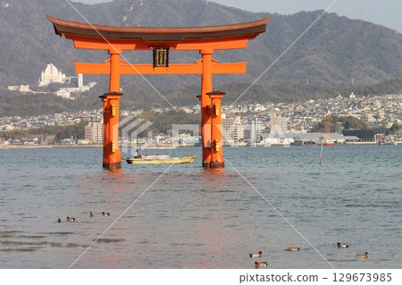 Aki的Miyajima 129673985