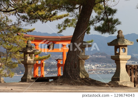 Aki's Miyajima 129674043