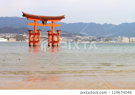 Aki的Miyajima 129674046