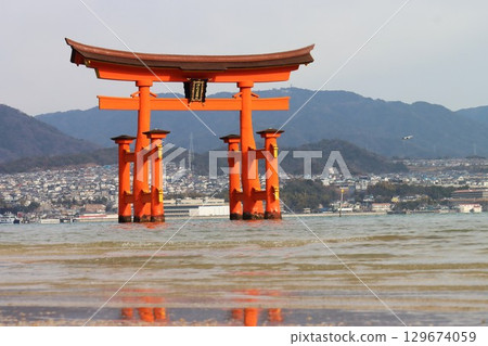 Aki's Miyajima Aki's Miyajima 129674059