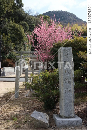 島波海道 129674204