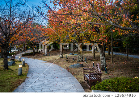 水邊之森公園的紅葉夜景[長崎市] 129674910
