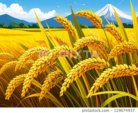金黃稻穗插畫 129674937