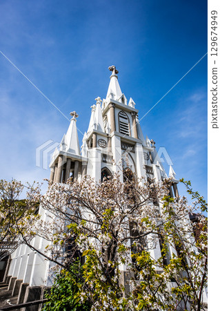 Cherry blossoms at Magome Church [Nagasaki City] 129674949