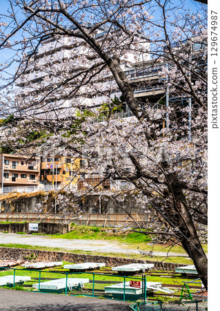 佐久縣世界文化遺產[長崎縣長崎市]的小島培訓網站 129674987