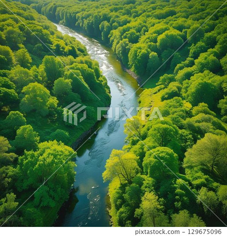 Mountain stream shining in the fresh green 129675096