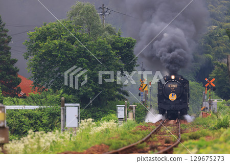 SL 山口 D51 9586 129675273