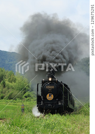 SL 山口 D51 1559 129675291