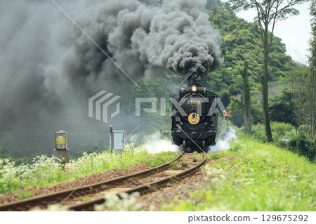 SL 山口 D51 1616 SL 山口 D51 1616 129675292