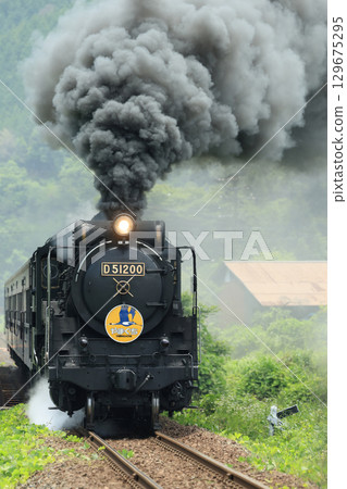 SL 山口 D51 1727- 129675295