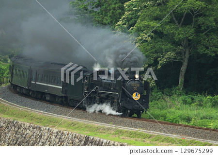 SL 山口 D51 2283 129675299
