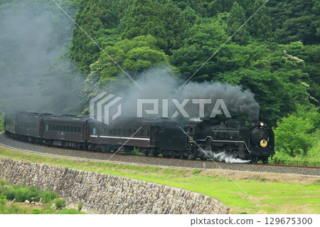 SL 山口 D51 2296- 129675300