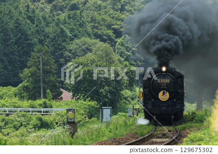SL 山口 D51 2619 129675302