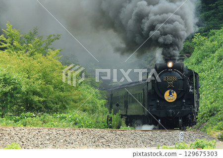 SL 山口 D51 2666 129675303