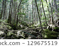 Moss road 129675519