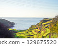 Illuminated rice terraces 129675520