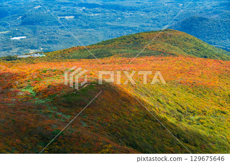 Autumn leaves on Mount Kurikoma (God's Carpet) 129675646