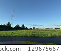 A suburban town in the countryside with a blue summer sky, a landscape with green rice fields and power transmission towers, a residential area with a blue sky in the tranquil suburbs 129675667