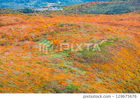 Autumn leaves on Mount Kurikoma (God's Carpet) Autumn leaves on Mount Kurikoma (God's Carpet) 129675676