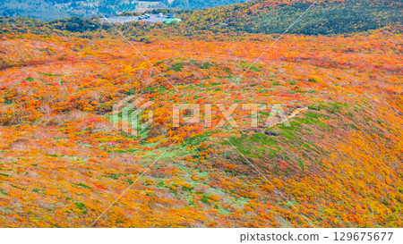栗駒山（神的地毯）的紅葉 129675677
