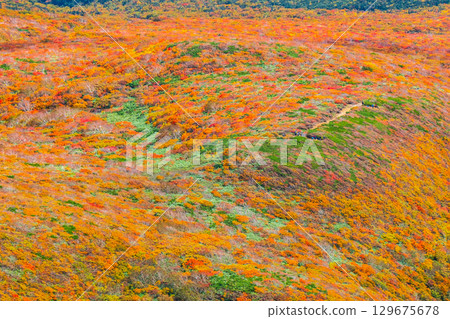 栗駒山（神的地毯）的紅葉 129675678