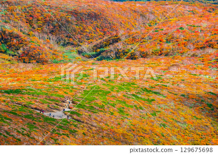栗駒山（神的地毯）的紅葉 129675698